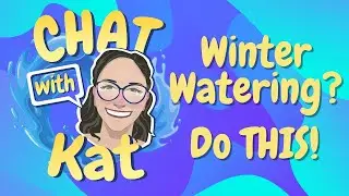 Chat With Kat: Skip a Week, Save a Buck! Winter Lawn Watering Tips.