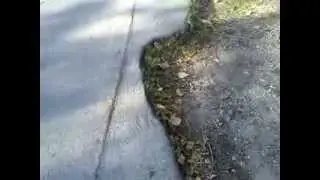 Dromos-pagida...e8niki peleka...........
