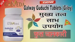 Galveda New Products Guduchi Tablets Giloy || Galway  Guduchi Tablets || Galveda New Product