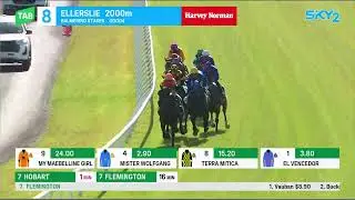 Balmerino Stakes 2024 - EL VENCEDOR (3YO+ WFA G3) Group 3 Ellerslie 5 November