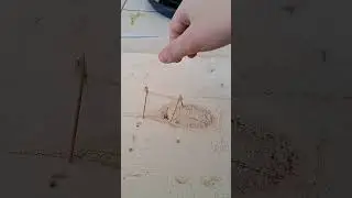 fa&ccedil;a uma incr&iacute;vel mini catapulta #diy  #diyprojects