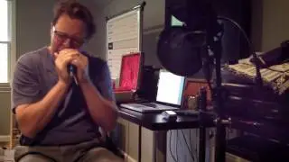 Tim Gartland Diatonic vs Chromatic Harp Sonic Contrast