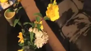 LGL- ITALIAN GIALLO