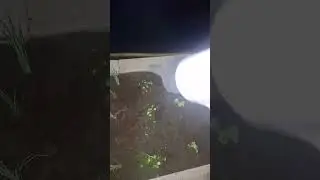 ACHO QUE VIREI DESIGNER INTERIORES