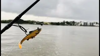 Brisbane River Fishing with Bigger Lures - Big flathead & Rod Snapped
