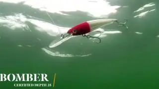 How Lures Swim  Bomber Certified Depth 25