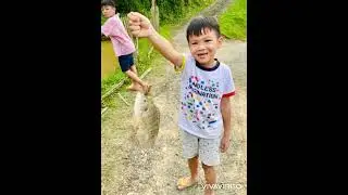 Camping at Father&rsquo;s Organic Farm