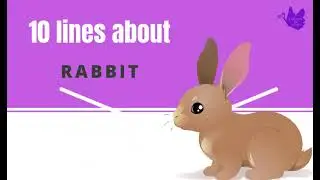 10 lines on Rabbit | Kids Essays |Writing on Rabbit | About Rabbit Tamil| Kindergarten essays