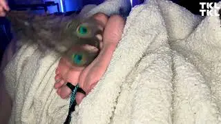 Feather tickling feet