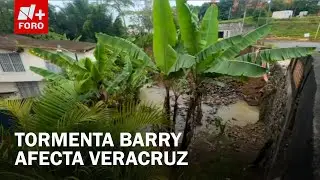 Tormenta tropical Barry deja estragos en 12 municipios de Veracruz - Las Noticias