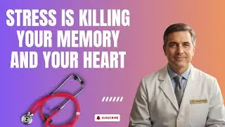Chronic Stress Is Silently Erasing Your Memory
