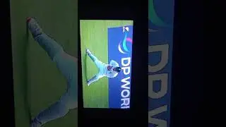 cricket lover