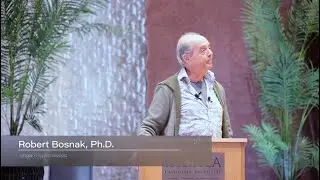 Cyberspace Has Started Dreaming with Robert Bosnak, PhD.