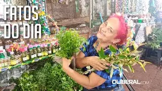 Erveiras do Ver-o-Peso mant&ecirc;m tradi&ccedil;&atilde;o do banho de cheiro