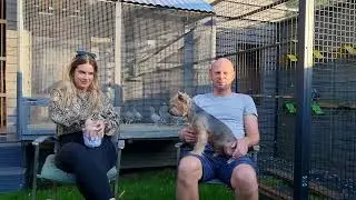 Hodowla Golebi pocztowych Adam &Lukas Koziel #38 Projekt Adi 1 Finał