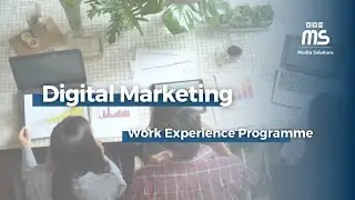 Digital Marketing Work Experience Programme