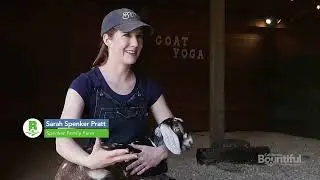 Goat Yoga at Spenker Family Farm