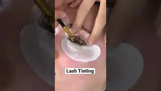 Lash Tinting 🤩🤩🤩