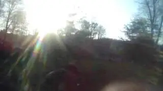 Wagon on the run