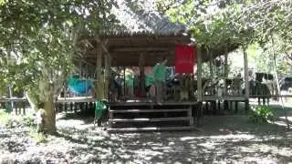 RARE: Life at the Las Piedras Biodiversity Station