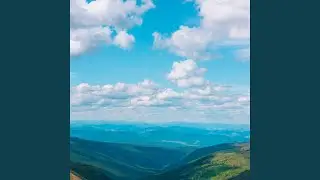 Percep&ccedil;&atilde;o