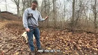 The out command with dogs / fetch 