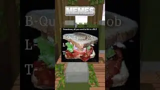 The Best Funny Memes