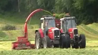 Masseys Silage Harvesting