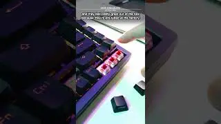 It comes with CUSTOM switches! @asusrog #mechanicalkeyboard #gaming #technology #didyouknow