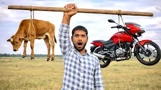 &ldquo;एक अंगुली Par बैल Aur गाड़ी&rdquo; 😨| Human Real Power Test 