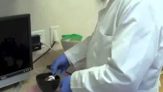 How to Take Facebow with Kois Analyzer in Russian