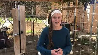 Verde Valley Fair