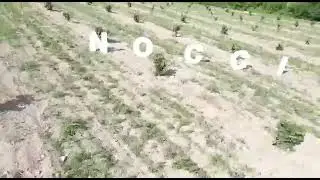 Nocciolo Service in campo &bull; www.noccioloservice.com