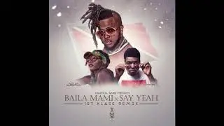 1stKlase x Nailah Balckman x Preedy - Baila Mami/ Say Yea (1st Klase Remix)