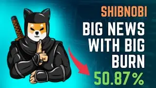 SHIBNOBI BIG BURN | SHIBNOBI SHINJA COIN NEWS TODAY | Shibnobi Shinja Price Updates