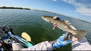 Flats Fishing With Trout And Big Redfish!