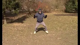 Advanced Capoeira Carioca: Guardbreaker entry into Pantana