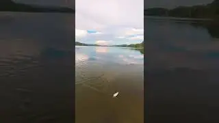 Skillful hook fishing big fish video | Modern fishing
