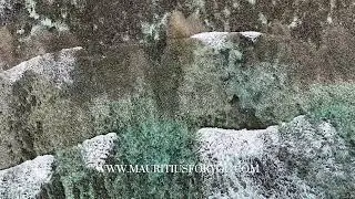 Snorkeling Beyond the Reef at Trou aux Biches 🐢 | Where Sea Turtles Appear&hellip; (DJI Mini 4 Pro)