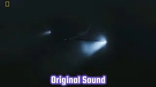 Emiliano Sala's Piper PA-46-310P Malibu - Crash Animation (Original Sound)