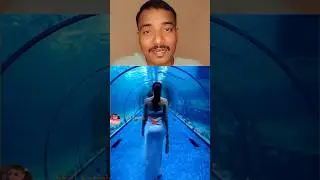 నీటి అడుగున విలాసవంతమైన హోటల్! 🌊 ఒక్క రాత్రికి రూ. 50 లక్షలా? 😱🏨#LuxuryLiving#UnderwaterHotel#తెలుగు