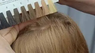 Discover the Natural Level of Hair Using Swatches