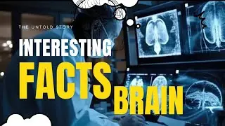 Unlocking the Mysteries of the Human Brain 10 Mind Blowing Discoveries