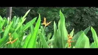 Villa Perezoso Presents the Best of Costa Rica