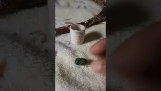 DIY cactus |Best out of waste|DIY decor#diycactus#miniatureplantpot#decor#shorts