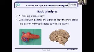 Therapy adjustments when exercising with the help of CGM