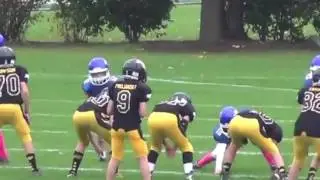 Matt Projansky BG Bills 2016 Highlights