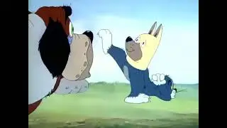 Tom and Jerry - Saint Bernard