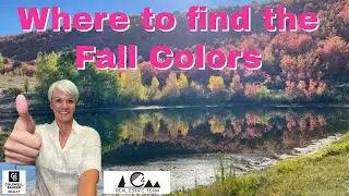 Hikes Near Ogden Utah: Where to Find the Fall Colors