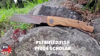 Petrified Fish PFE04 Scholar - Look At This Gorgeous Olivewood!!!